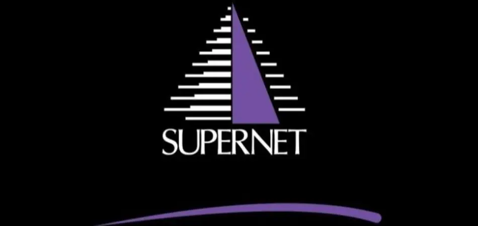 STL Advances GEMSPNL Merger with Major Share Allotment Following Court Sanction